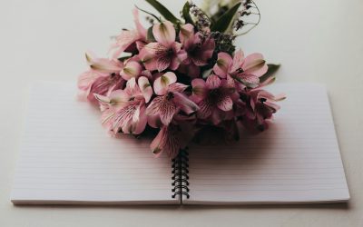 Redefining Your Priorities: A Return to What Truly Matters